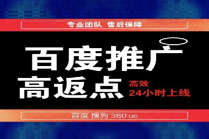 高效百度推广案例解析及优化策略
